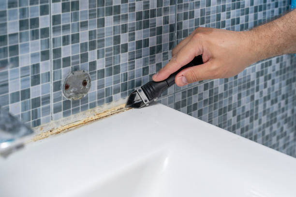 Best Commercial Mold Removal  in Loma, CO