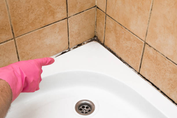 Best Mold Testing  in Loma, CO